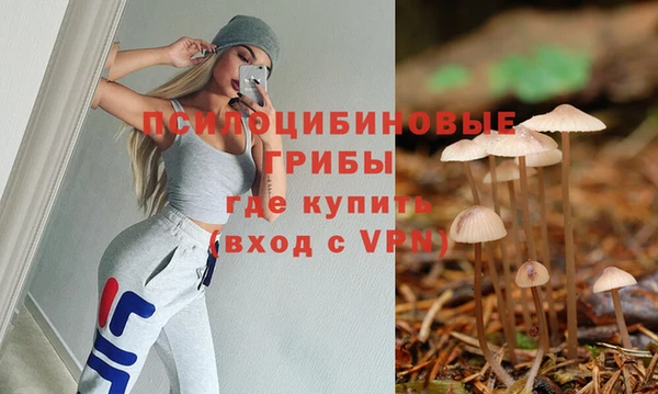 крисы Вязьма